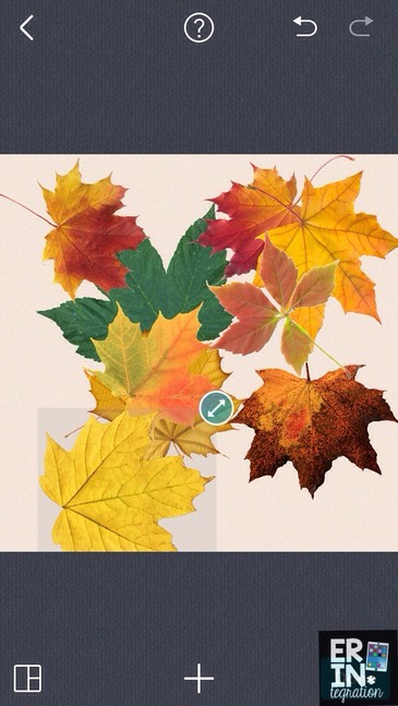 Have students make a leaf man on Pic Collage. 