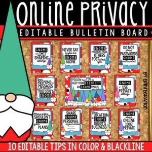 Digital Citizenship Posters, Bulletin Board, Contract & Activity: Online Privacy