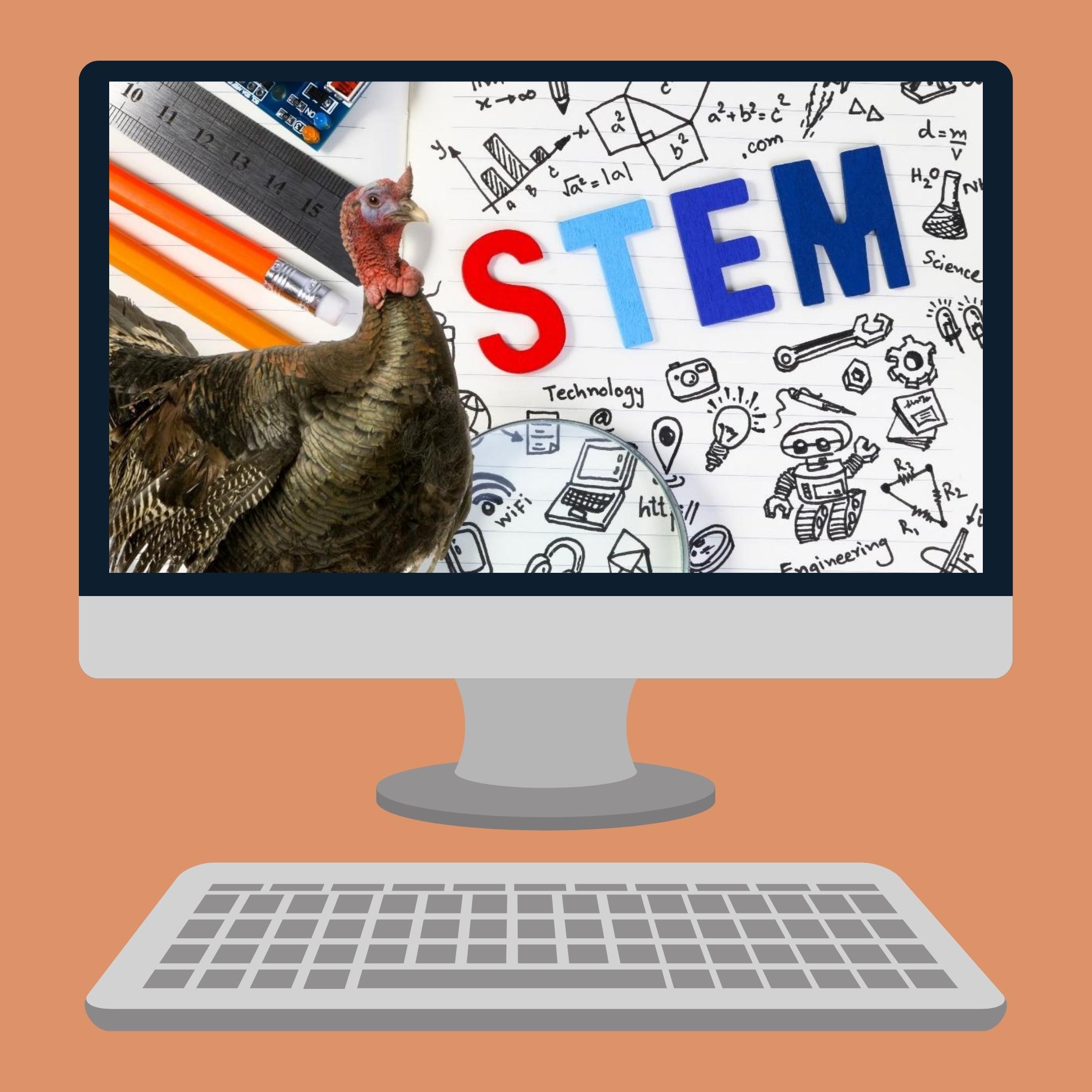 Erintegration Thanksgiving Turkey STEM Roundup Featured Image